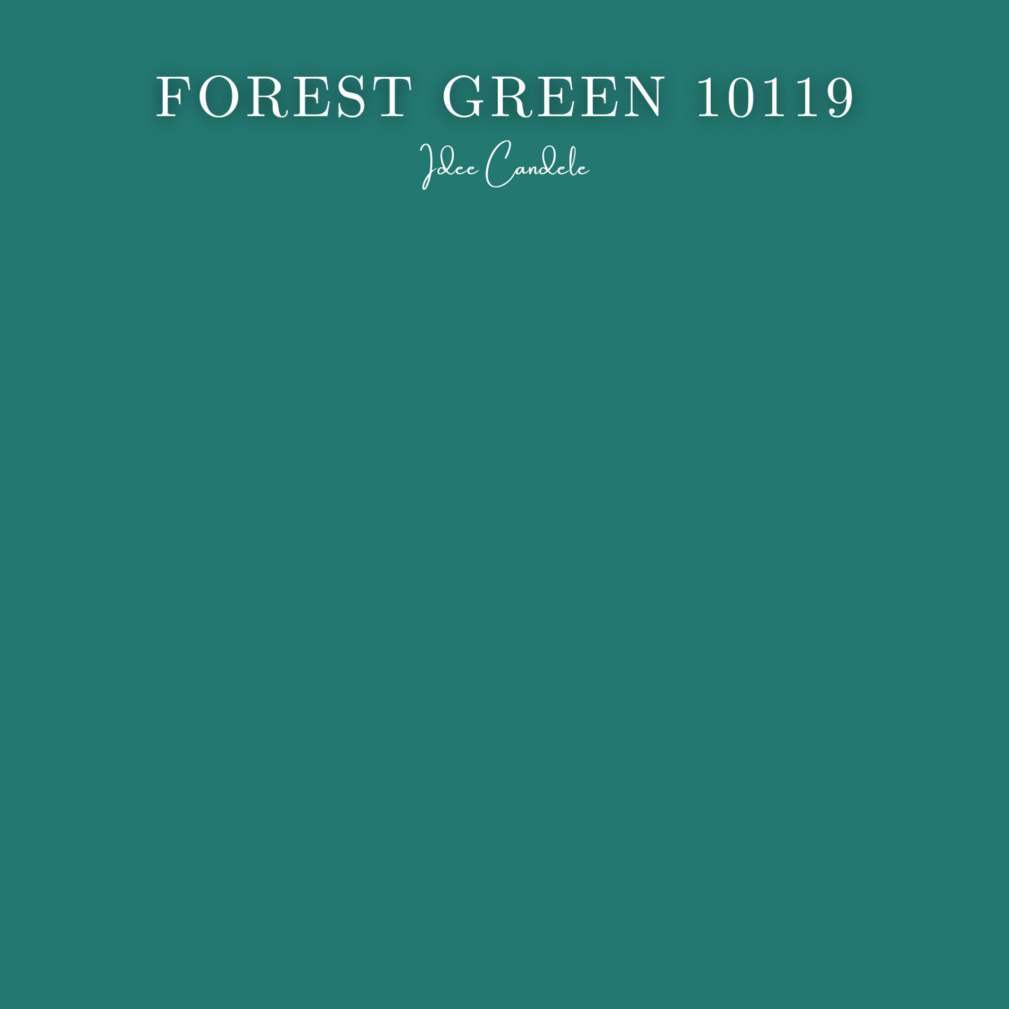 Colore - Forest Green 10119