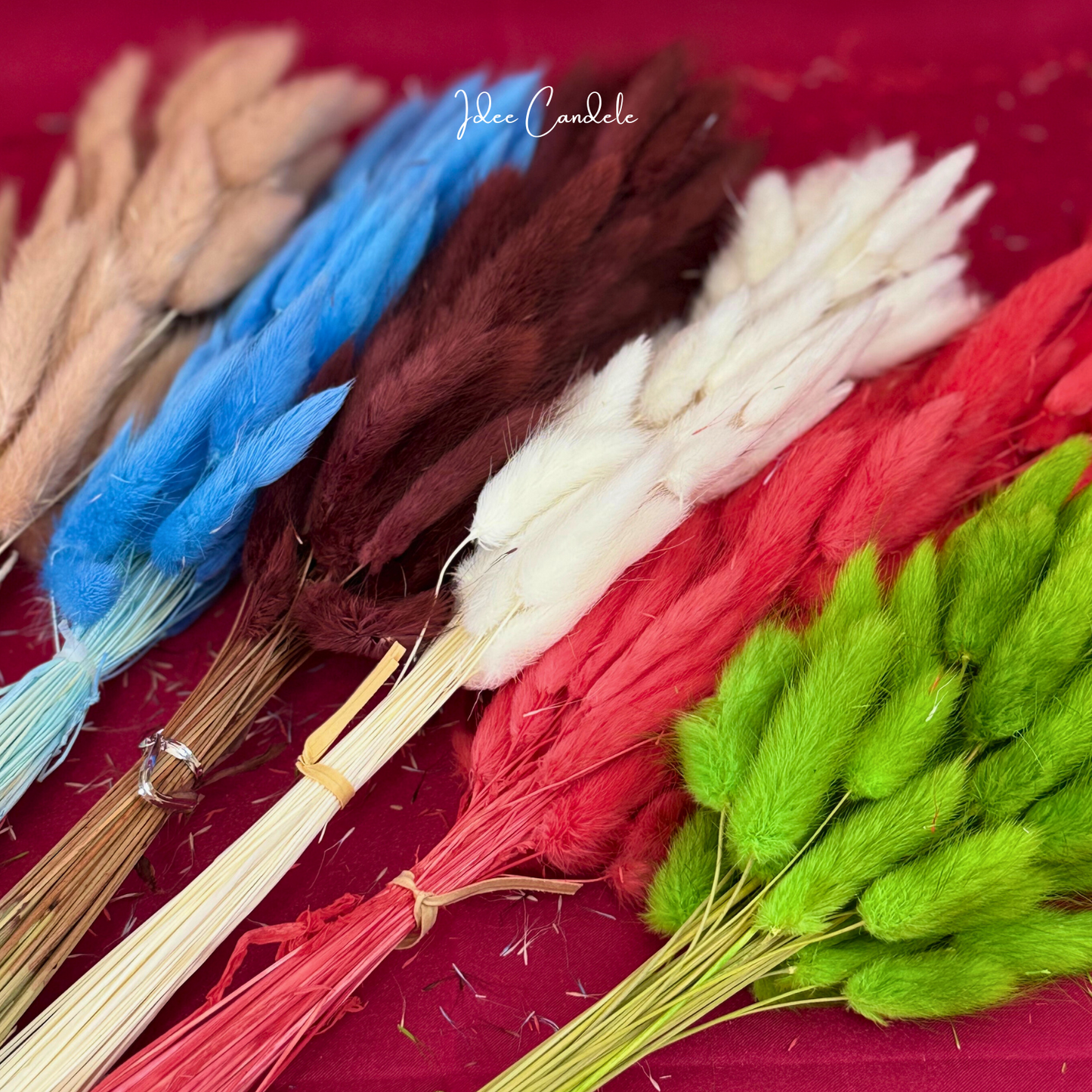PomPom Grass