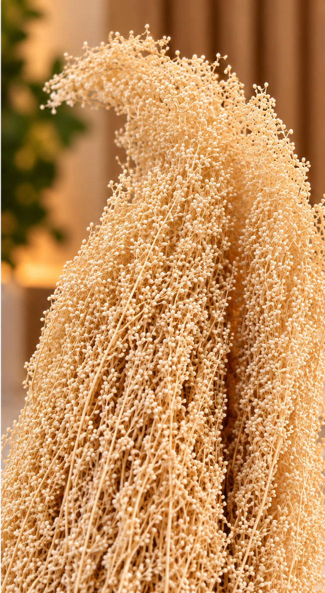 Lepidium essiccata 80 gr