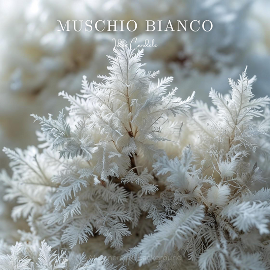 Muschio Bianco