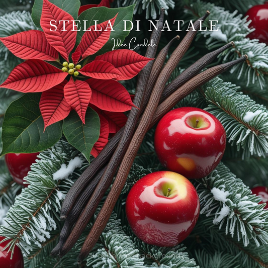 Stella Di Natale