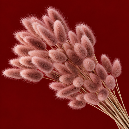 PomPom Grass